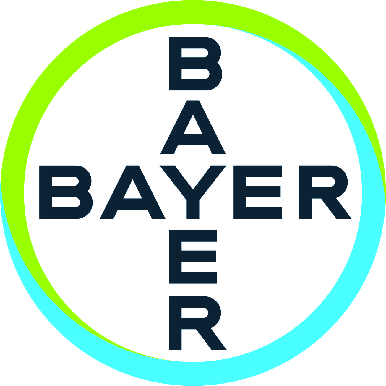 Bronze Partner 1